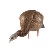 Avian-X Decoy HDR FEEDING HEN