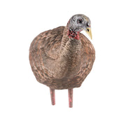 Avian-X Decoy LCD BREEDER HEN