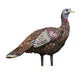 Avian-X Decoy LCD LOOKOUT HEN