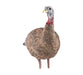 Avian-X Decoy LCD LOOKOUT HEN