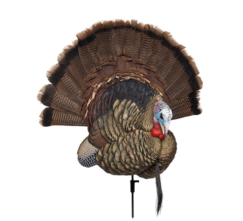 Avian-X Decoy LCD TROPHY TOM