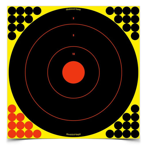 Birchwood Casey Target Accessorries SHOOT•N•C® 17.25 INCH BULL'S-EYE, 12 TARGETS - 480 PASTERS