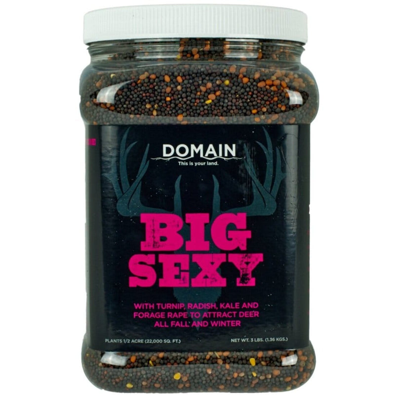 Domain Feeders Feeders Big Sexy