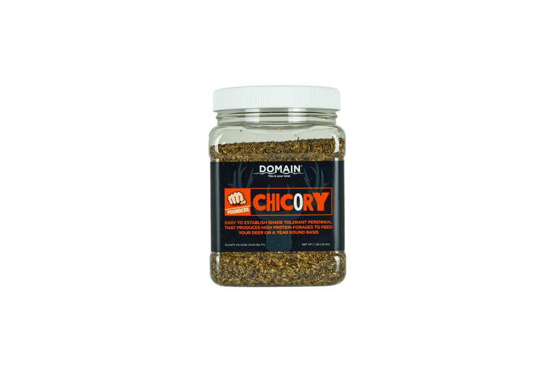 Domain Feeders Feeders DOMAIN POUNDER - CHICORY