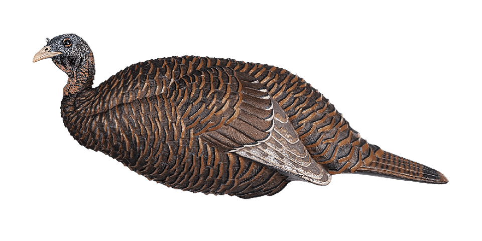 Flextone Decoy THUNDER CHICK™ BREEDER