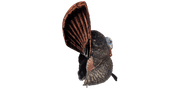 Flextone Decoy THUNDER CREEPER