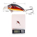 Fritz's Outdoor Discounts Artificial Fishing Lure