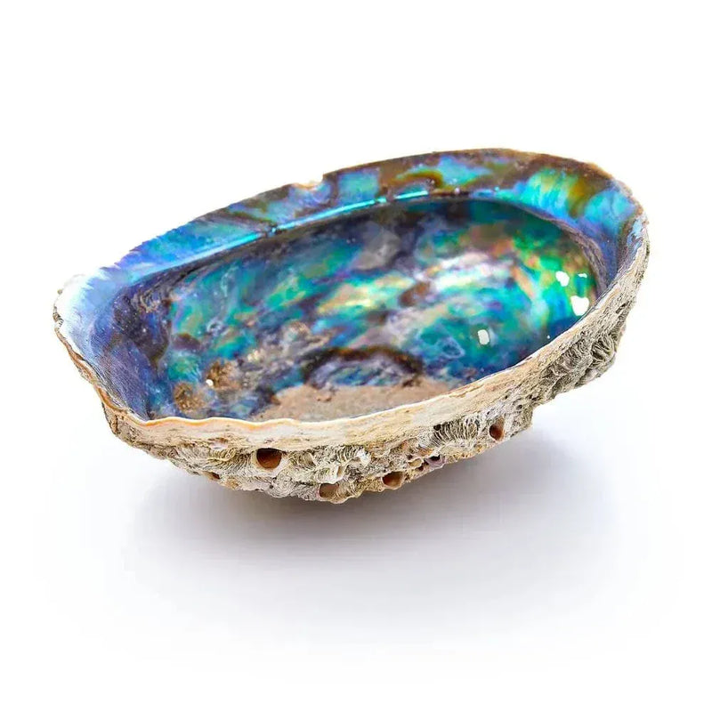 KheopsInternational Crystals Abalone Shell (for Smudge Sticks)