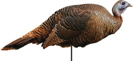 Montana Decoy Co Decoy Montana Decoy Co Spring Fling Hen Decoy