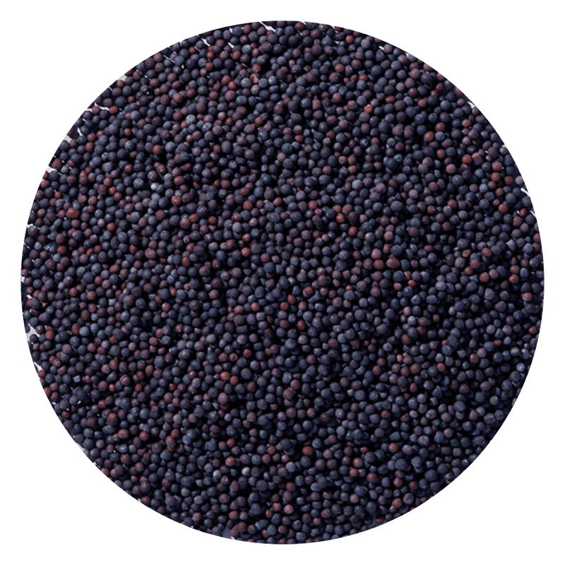 Starwest Botanicals Whole Seeds Brown Mustard Seed Whole Organic