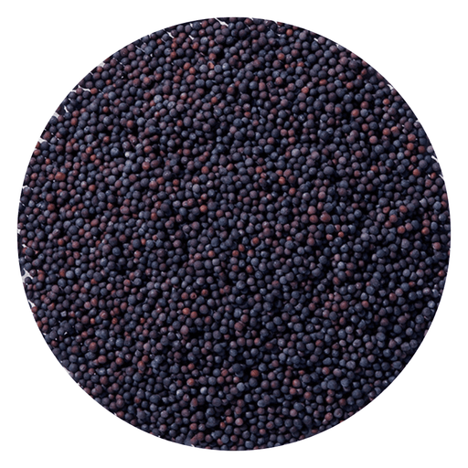 Starwest Botanicals Whole Seeds Brown Mustard Seed Whole Organic