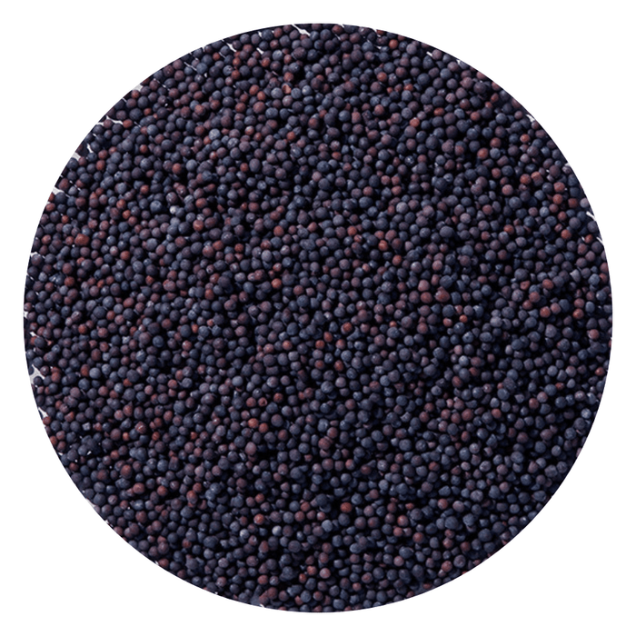 Starwest Botanicals Whole Seeds Brown Mustard Seed Whole Organic