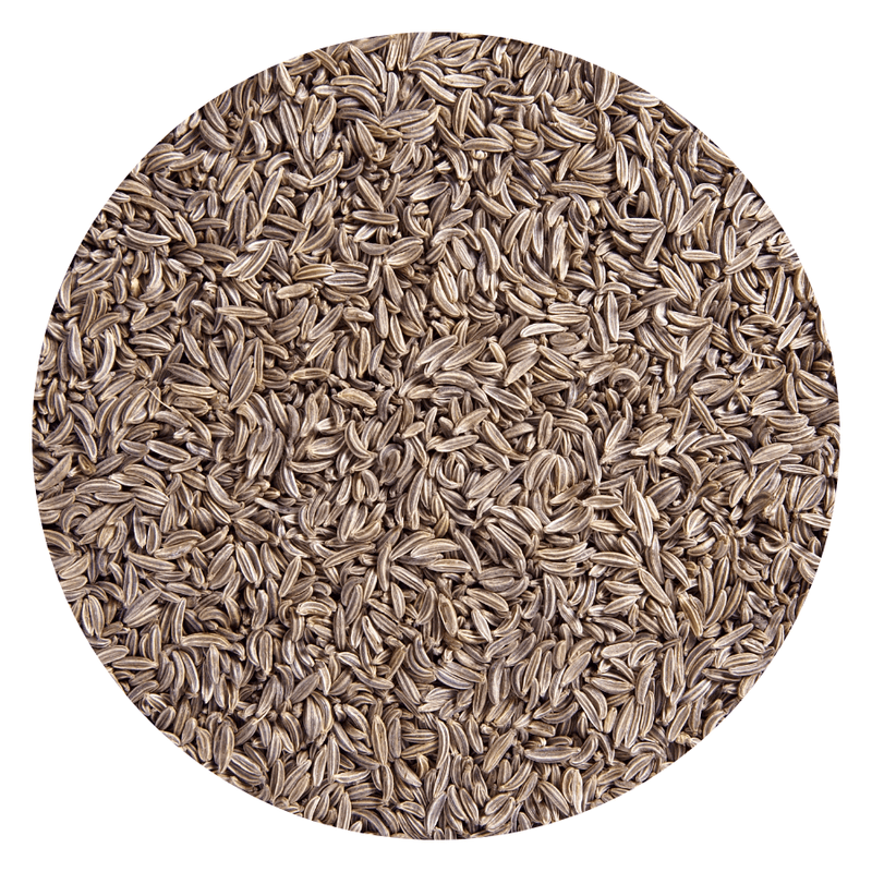 Starwest Botanicals Whole Seeds Caraway Seed Organic