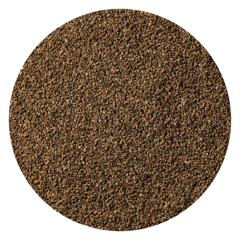 Starwest Botanicals Whole Seeds Celery Seed Organic